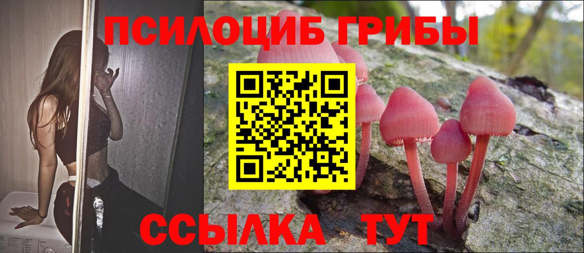 Галлюциногенные грибы мухоморы Луга